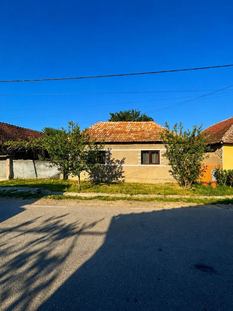 Casa cu 3300mp de teren la 30 de KM de Oradea - Poză 1