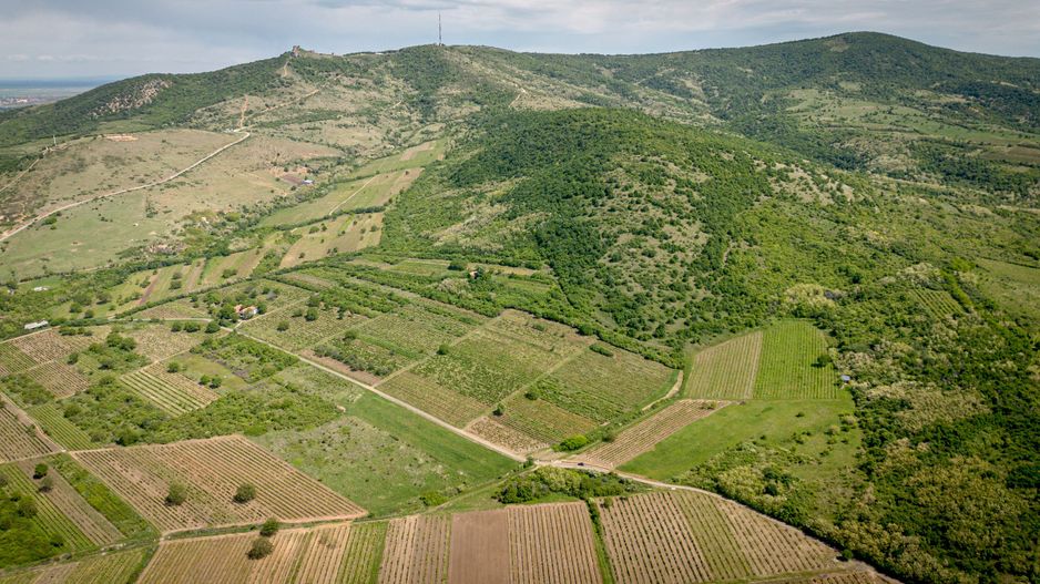 Teren extravilan - 3654 mp Dealul Șiriei - Poză 3