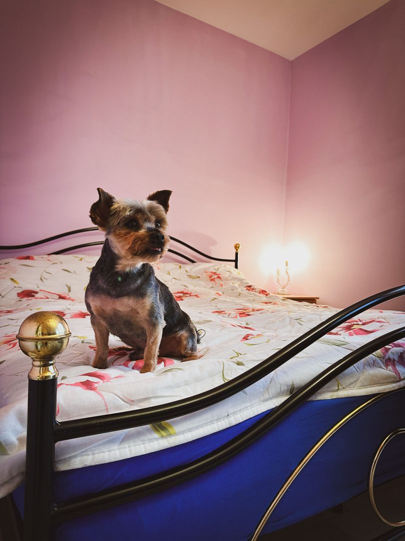 Duplex 5 camere | Interior 180 mpu, Teren 364 mp | Foisor & Garaj mare - Poză 39