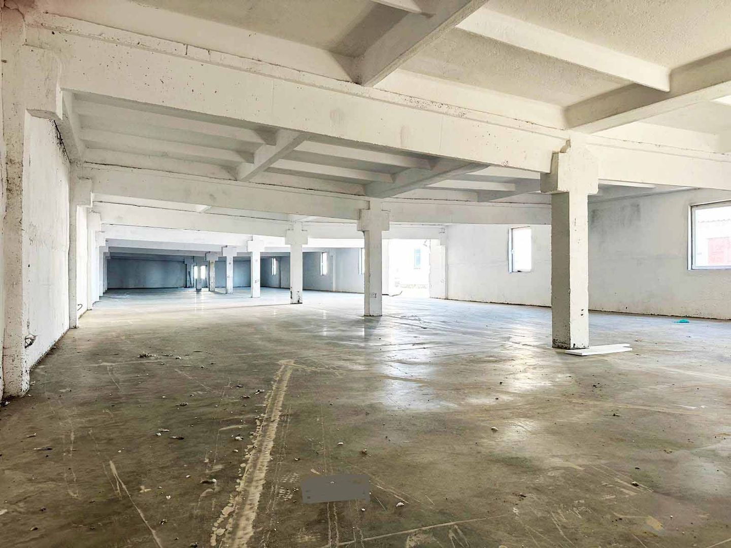 Inchiriere Hale Industriale în Aluniș, Arad  250 mp-1.500 mp - Poză 3