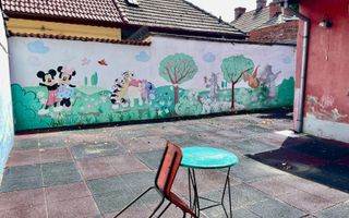 VANZARE VILA INTERBELICA VATRA LUMINOASA NECESITA RENOVARE CURTE PROPRIE - Poză 14