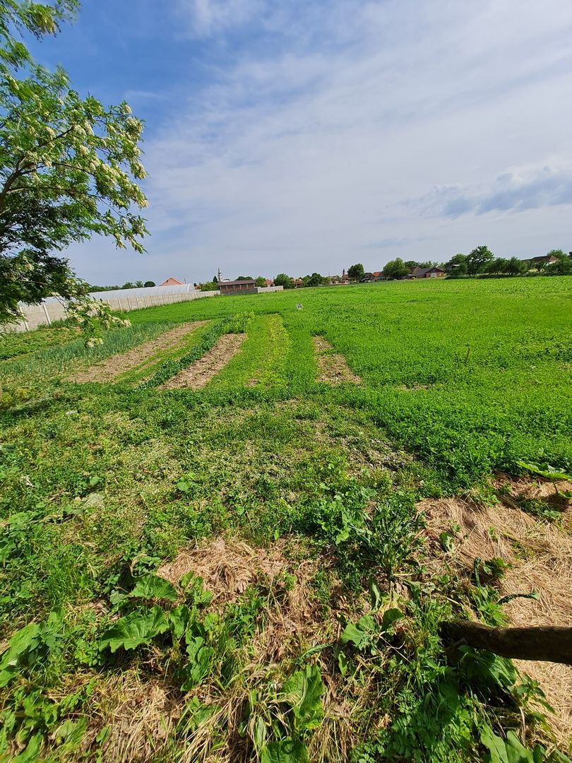 Casa nemțească cu teren generos - Poză 2