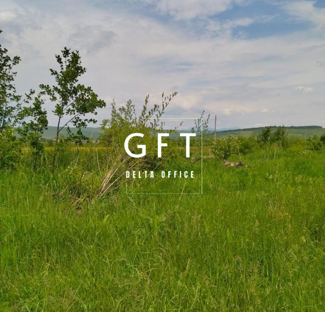 Teren Extravilan - 13.100 mp - Orheiul Bitritei -EXCLUSIVITATE - Poză 3