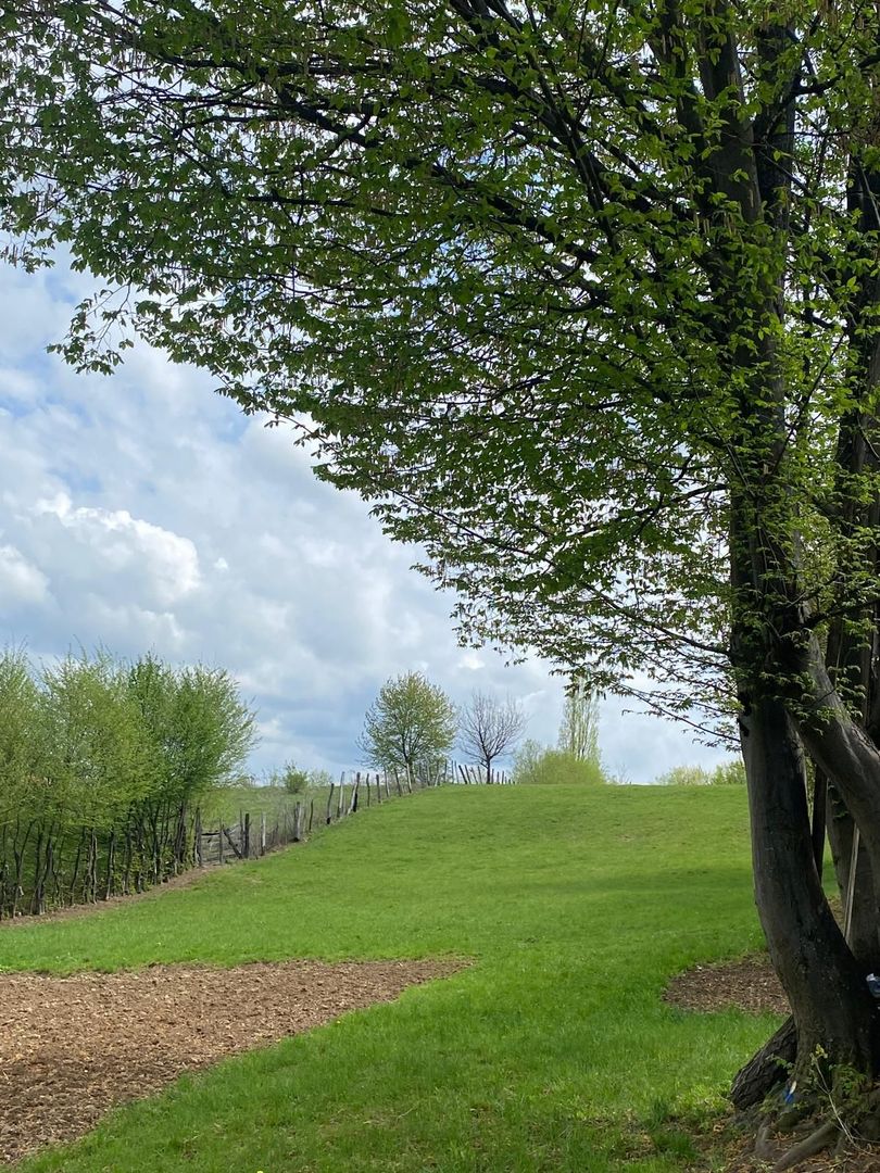 Parcele de teren intravilan cu un view superb-Tocile-Sibiu - Poză 10