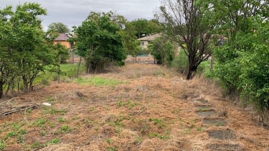 Teren intravilan 2562mp Loc 23 August | Ideal locuiță sau casă vacanță - Poză 4