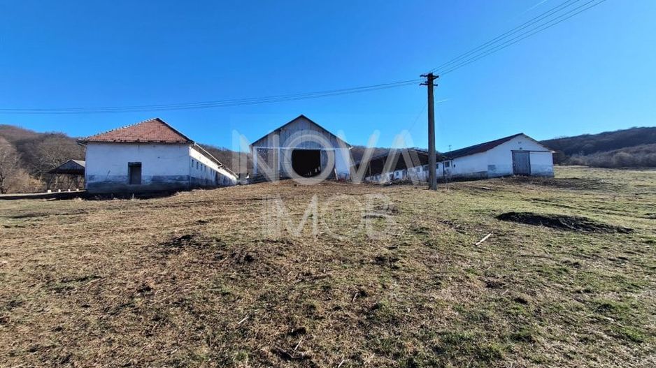 Ferma complet echipata de vanzare – zona Agnita, judetul Sibiu - Poză 4