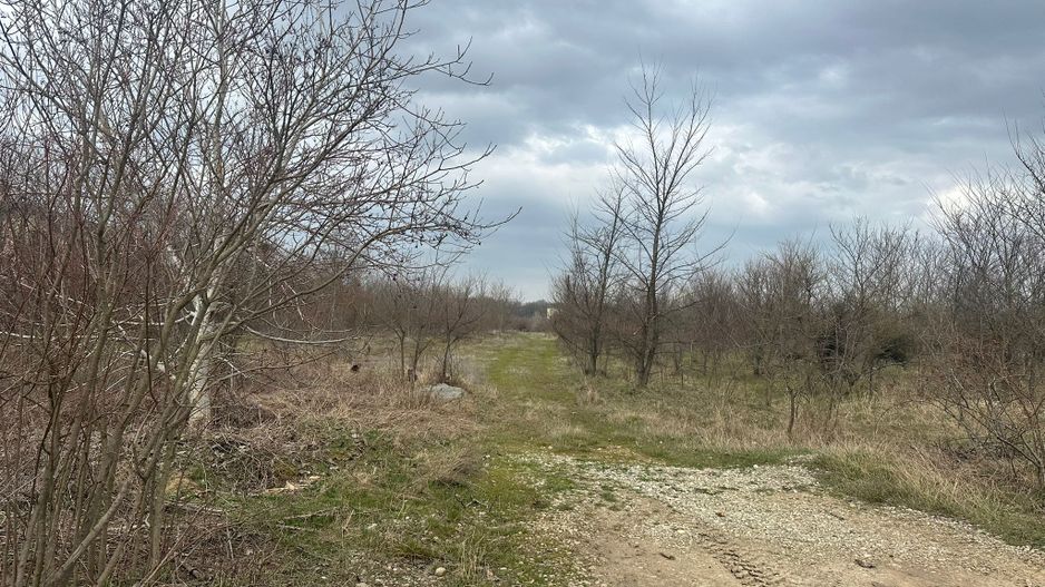 Teren intravilan cu PUZ aprobat 33.683 mp – Săftica/Balotești – deschidere DN1 - Poză 21