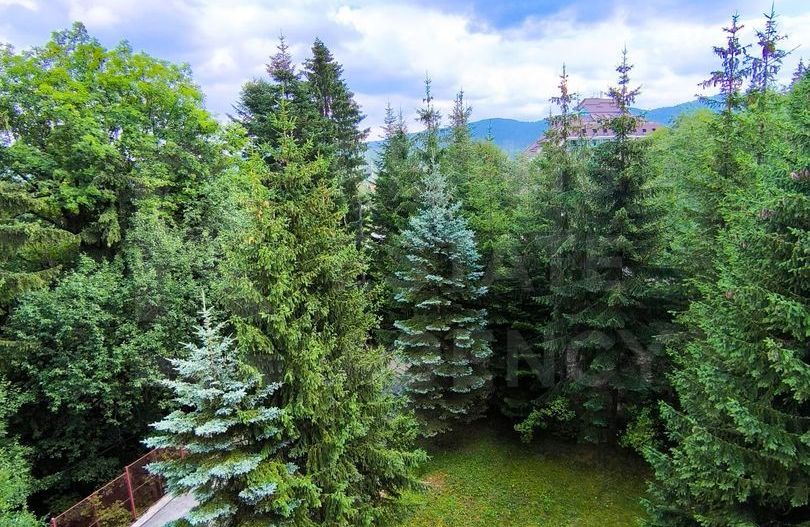 Vânzare, vilă, Predeal, Brașov - Poză 3