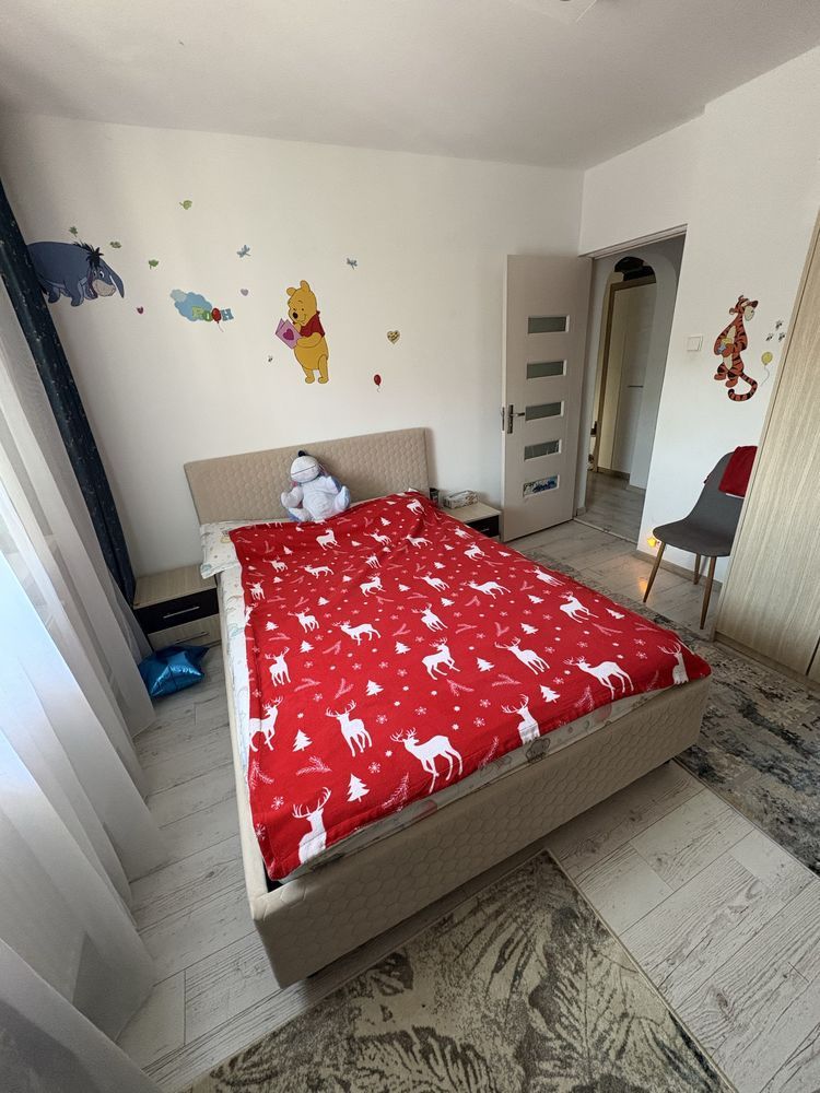 Apartament 2 decomandate- Lapus Arges - Poză 4