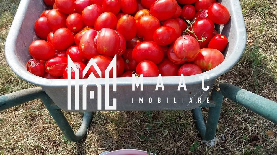 Proprietate cu 60000 mp pamant la pret de apartament - Poză 30