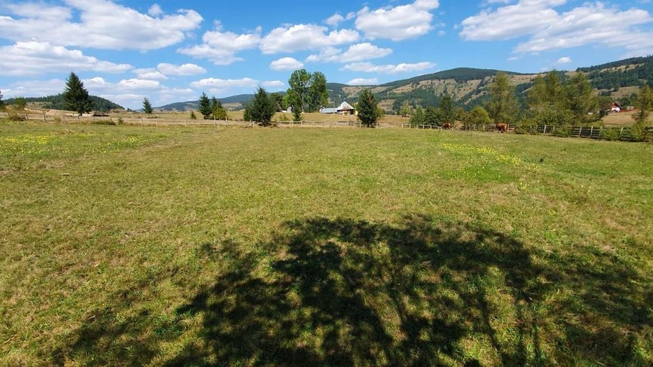 Teren 7000mp Arieseni - Poză 2