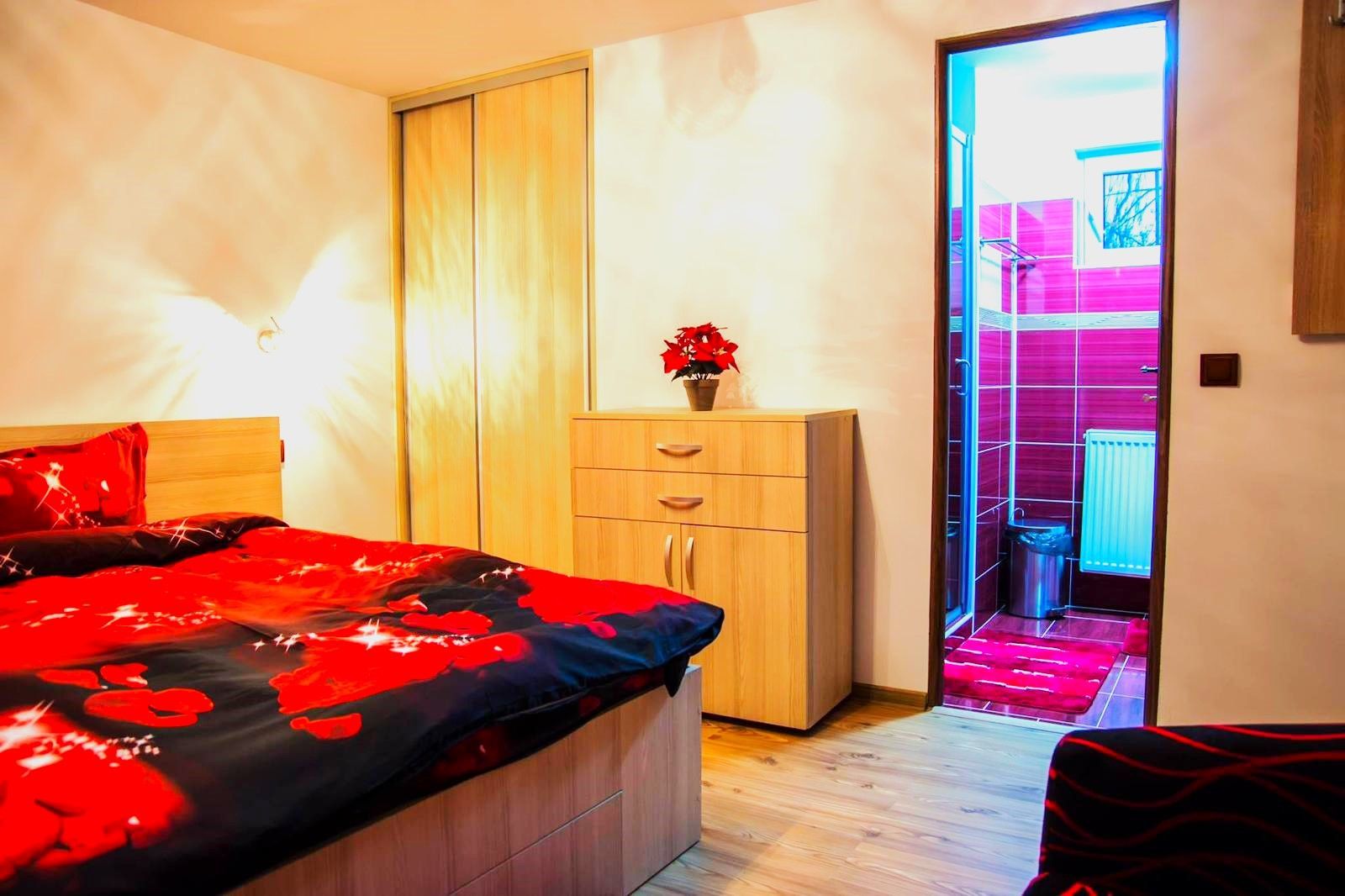 AFACERE DE VANZARE| Pensiunea SILVANKA din Valcele 3* | Langa BRASOV - Poză 17