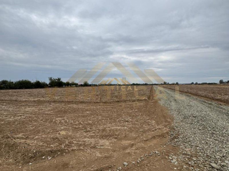 Teren Intravilan 500 mp, comuna Vidra - Poză 4