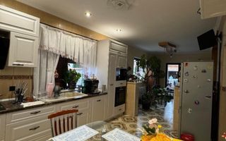 Casa de vanzare P+1, 4 Garaje, Vetis - Poză 7