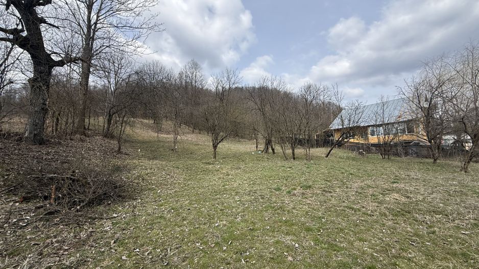 Teren 6040 mp la baza pădurii deschidere 40 ml - Poză 4