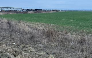 Teren de inchiriat | 20,088 ha | Sacadat | Bihor - Poză 3