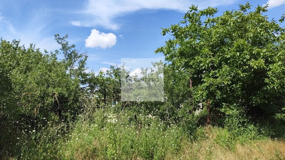 Teren de 11.000 mp cu casă și teren agricol | La 40 km de București | - Poză 16