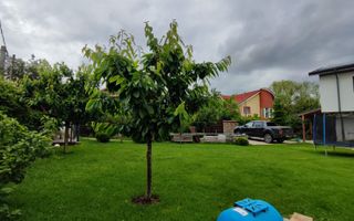 Duplex premium cu curte superb amenajată și anexă 80 mp - Poză 10