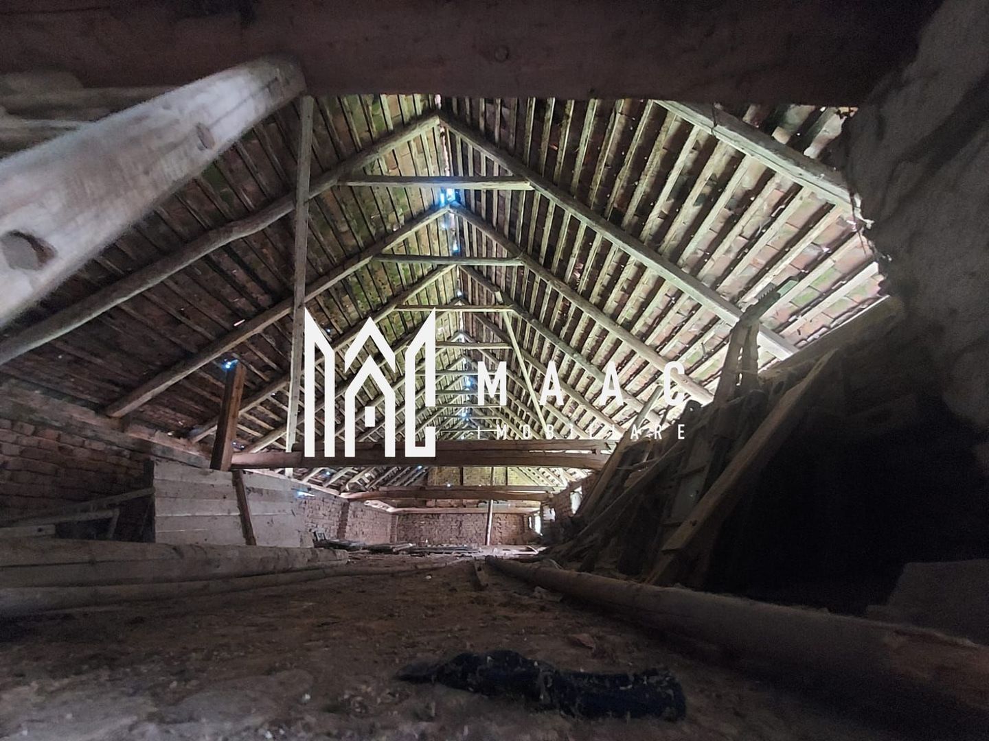 Casa 3 camere | 2225 MP Teren | Ticusu Nou | - Poză 14