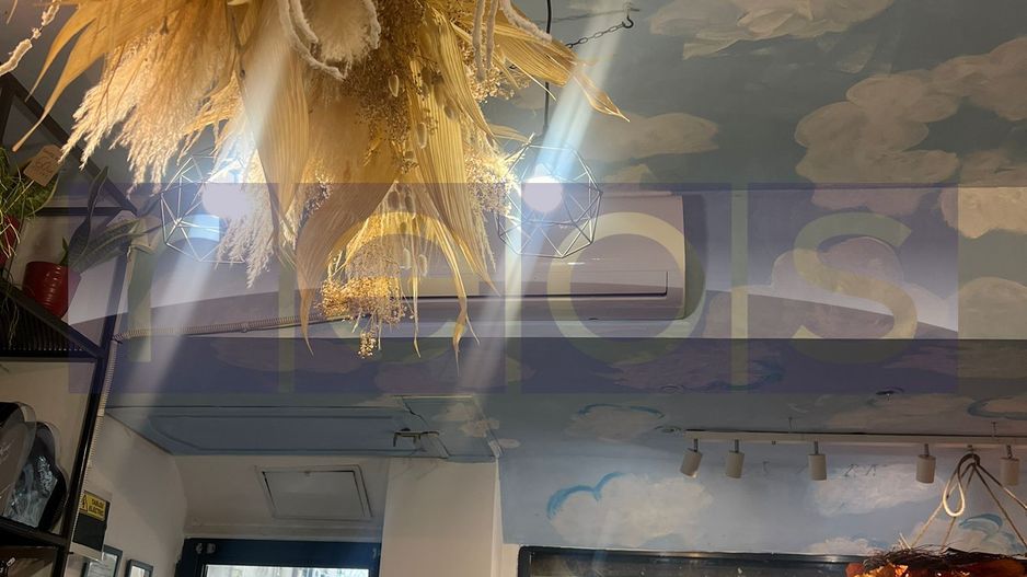 VANZARE SPATIU COMERCIAL | STRADAL | PACHE PROTOPOPESCU | 36MP | - Poză 3