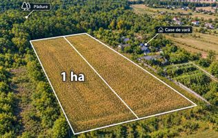 1Ha Agricol or.Ialoveni