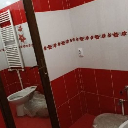 Garsoniera Roman - Poză 4