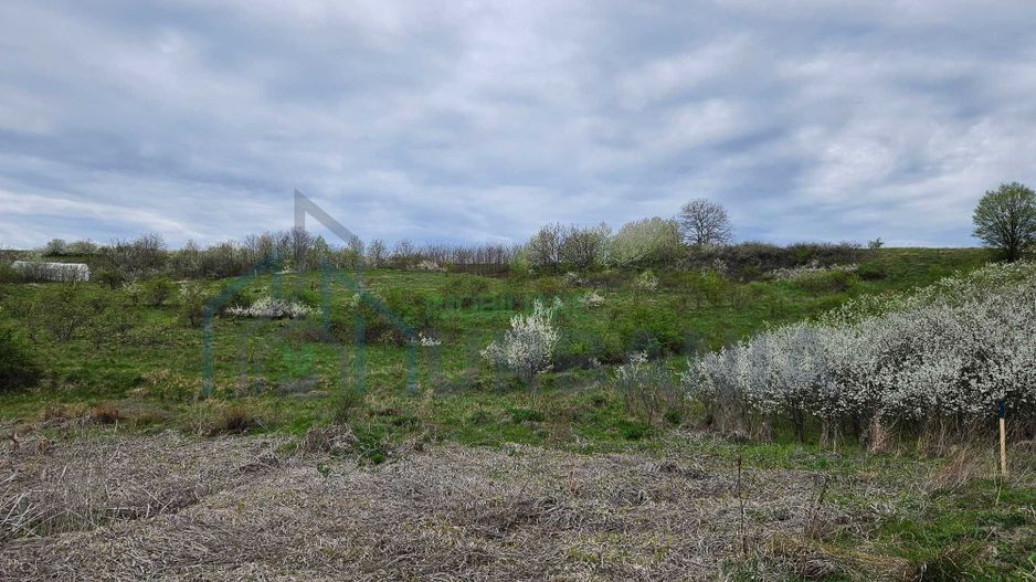 Teren intravilan 18.000 mp, Ciurea – Iași | 13 €/mp | 40 m front stradal la asfalt | Utilități - Poză 7