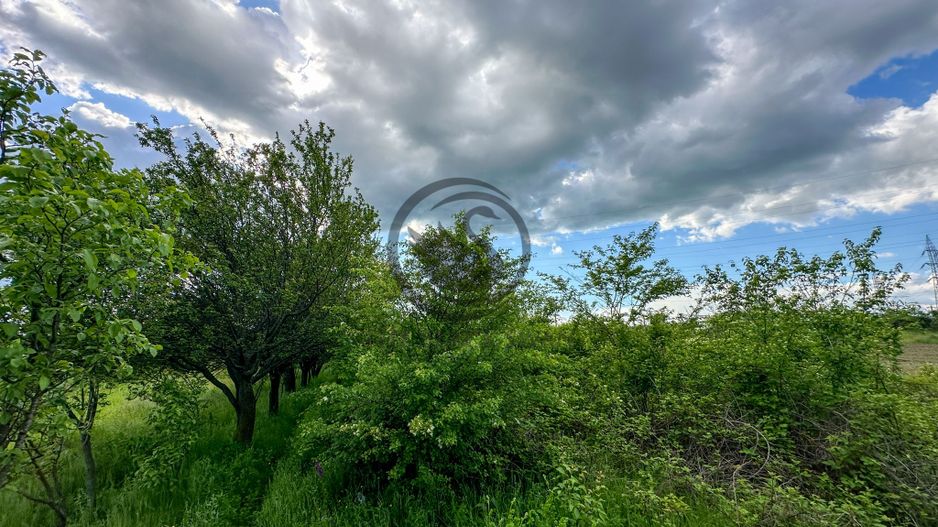 Teren de vanzare | 3.600mp | Valeni de Munte, Prahova | Comision 0% - Poză 7