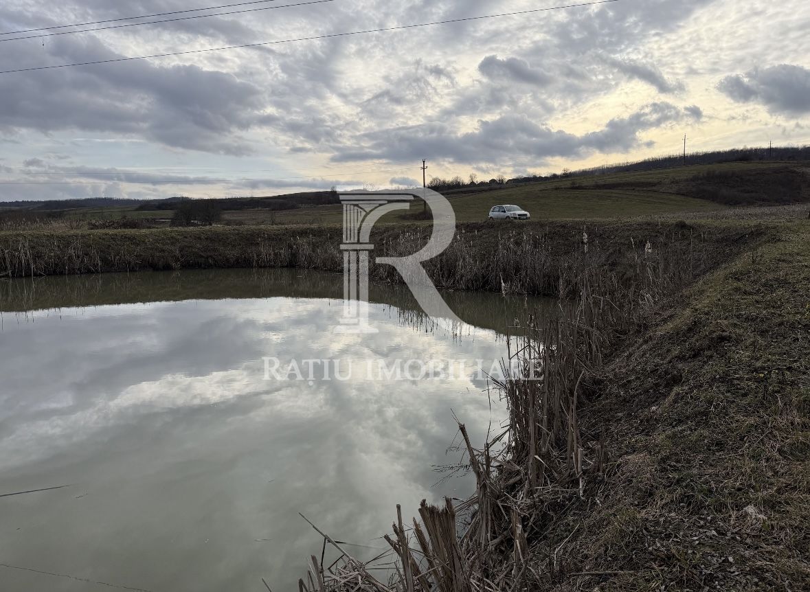 Pescărie cu teren intravilan | Drăgești | Bihor - Poză 1