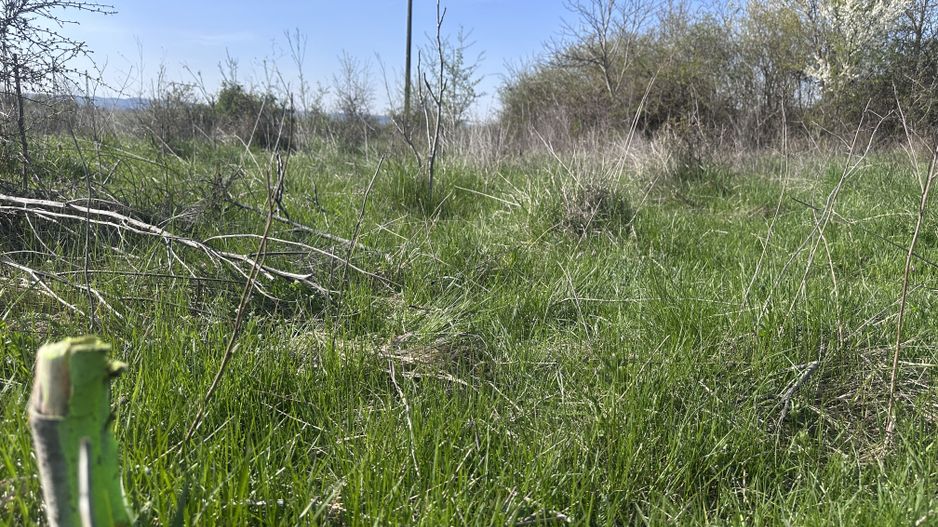 Teren de vânzare – Aninoasa, zonă Solarino (peste calea ferată) - Poză 2