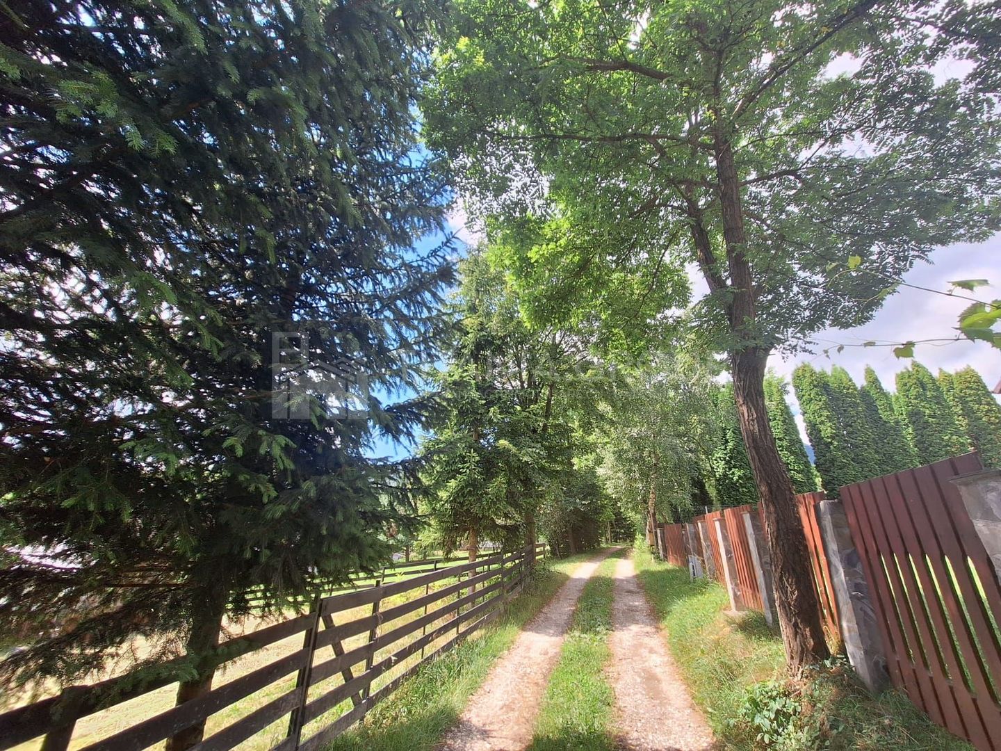 Teren intravilan 1003mp in mijlocul naturii, Predelut, comision 0 - Poză 3