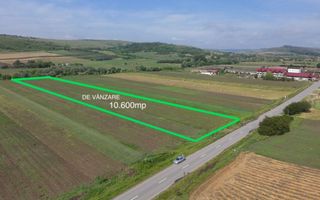 Teren 10.670 mp | Borșa Cluj | Front 38m | Utilități - Poză 2