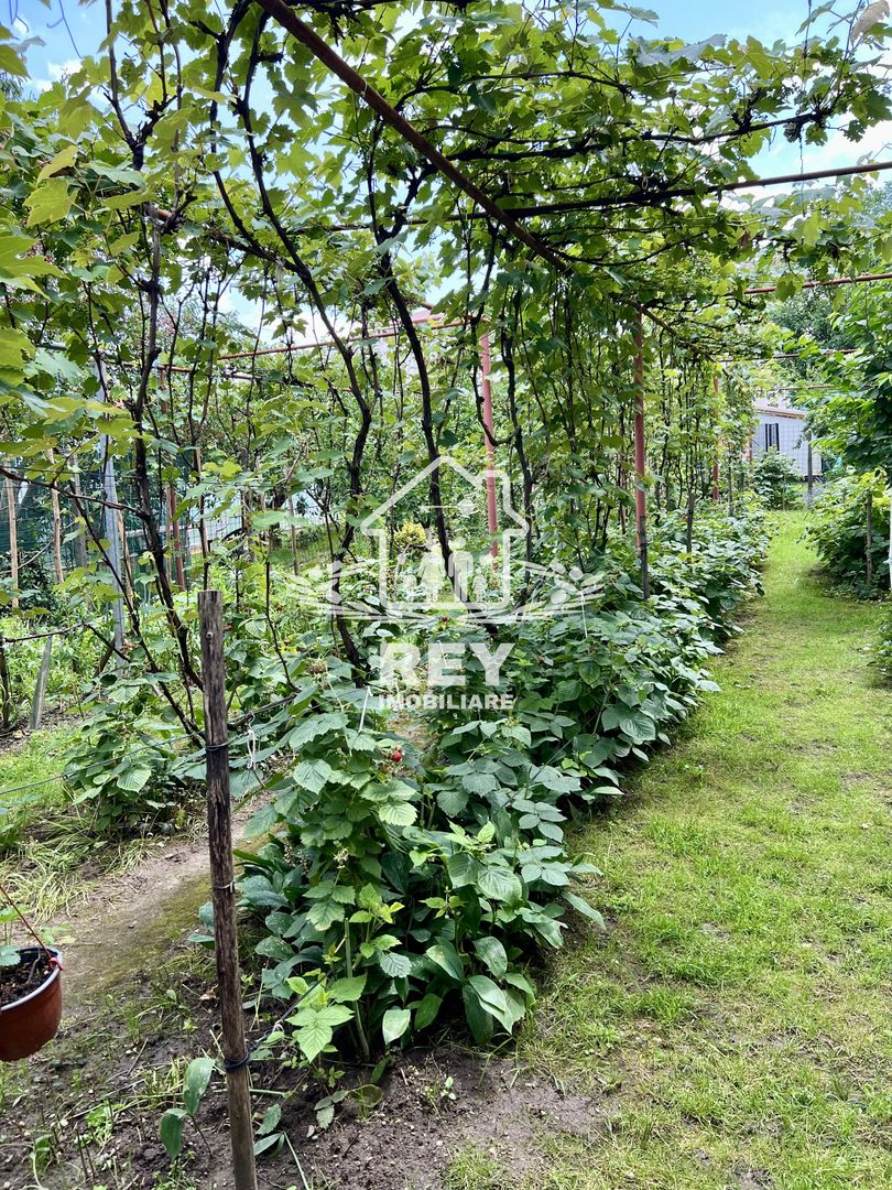 Casa de vanzare 6 camere zona Piata Cluj/Kogalniceanu/Turnisor - Poză 26