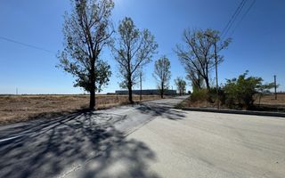 Teren extravilan de vânzare – Căteasca, Argeș | 27.201 mp | Deschidere 58,55 m - Poză 7