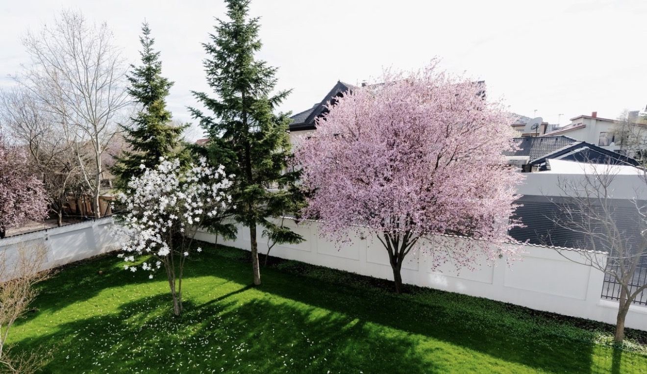 Vila  6 camere de inchiriat | Pipera-Aviatiei - Poză 5