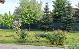 MOGOȘOAIA – VILĂ CU 4 CAMERE, TEREN 971 MP, CURTE ȘI GRĂDINĂ! - Poză 20