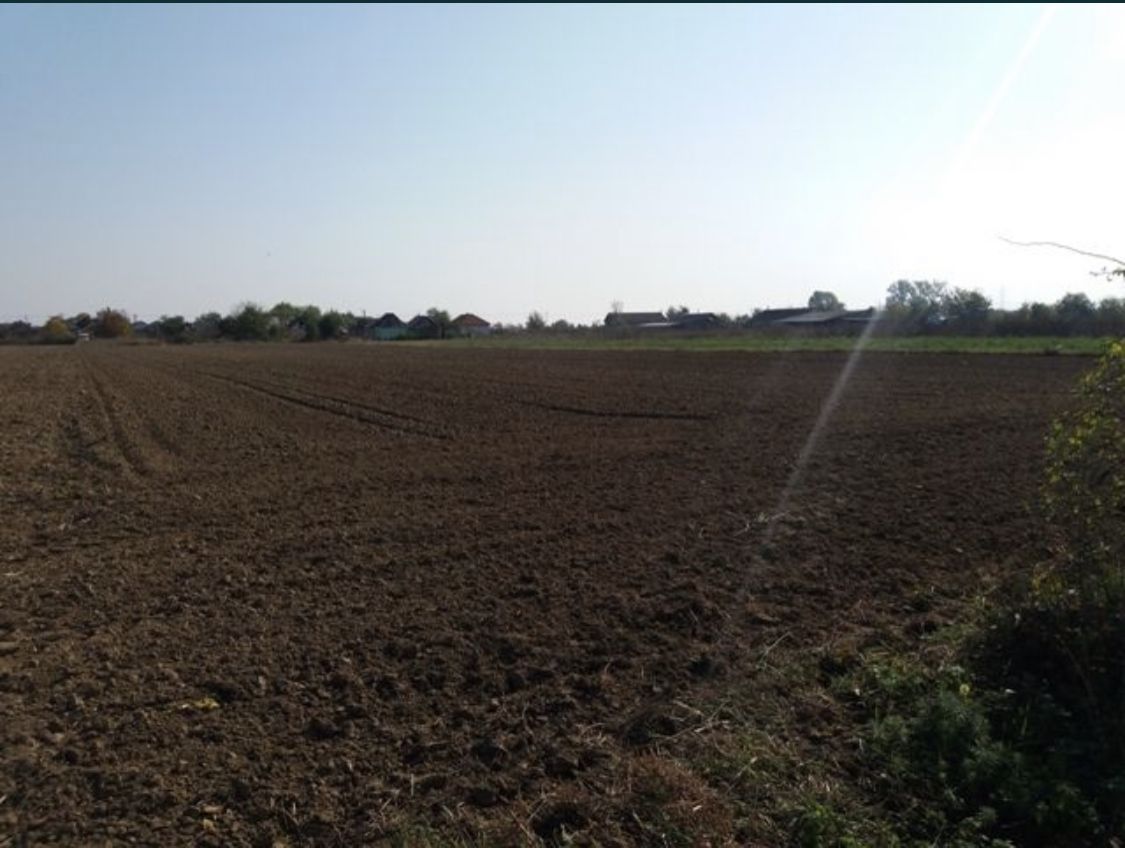 Investitie!Intravilan 55 ari capat Paulesti ( Intrare Ambud), 3.6 mf - Poză 2