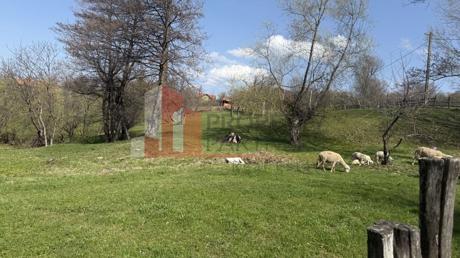 Teren de vânzare în Sohodol, comuna Bran – 4.289 mp - Poză 3