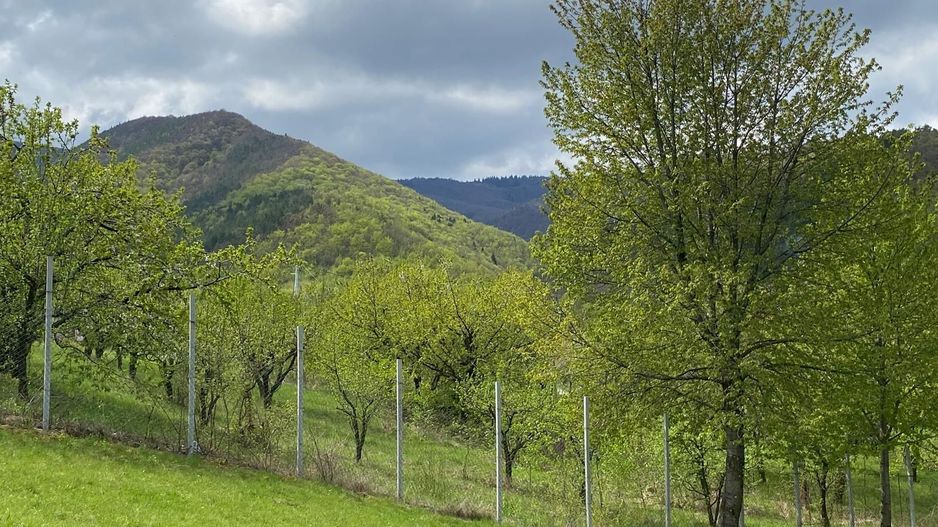 Parcele de teren intravilan cu un view superb-Tocile-Sibiu - Poză 6
