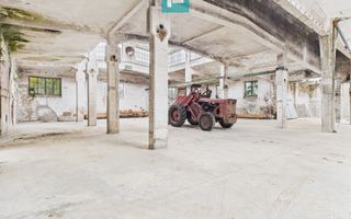 Hală de depozitare 200 mp în Periam - Poză 2