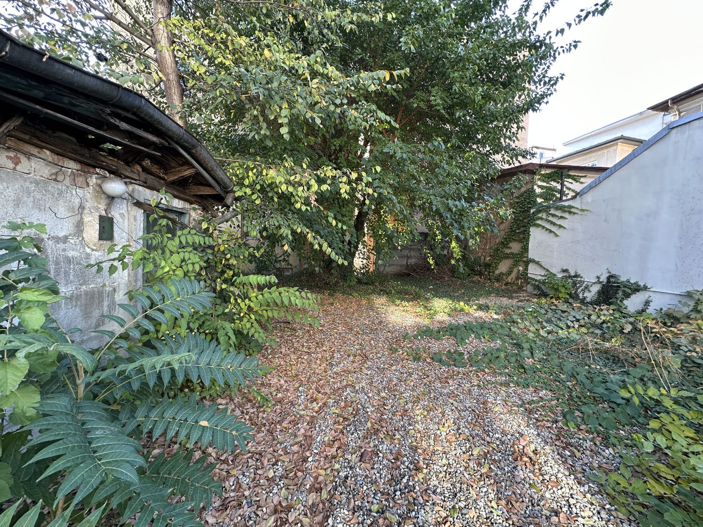 TEREN CONSTRUCTIE CASA DOROBANTI - FLOREASCA - Poză 2