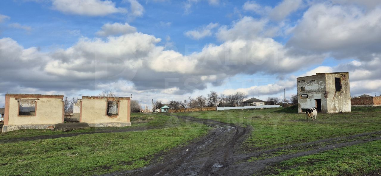 Vânzare, teren agricol, 222 ari, str. Mircea Cel Bătrîn, Miciurin - Poză 1