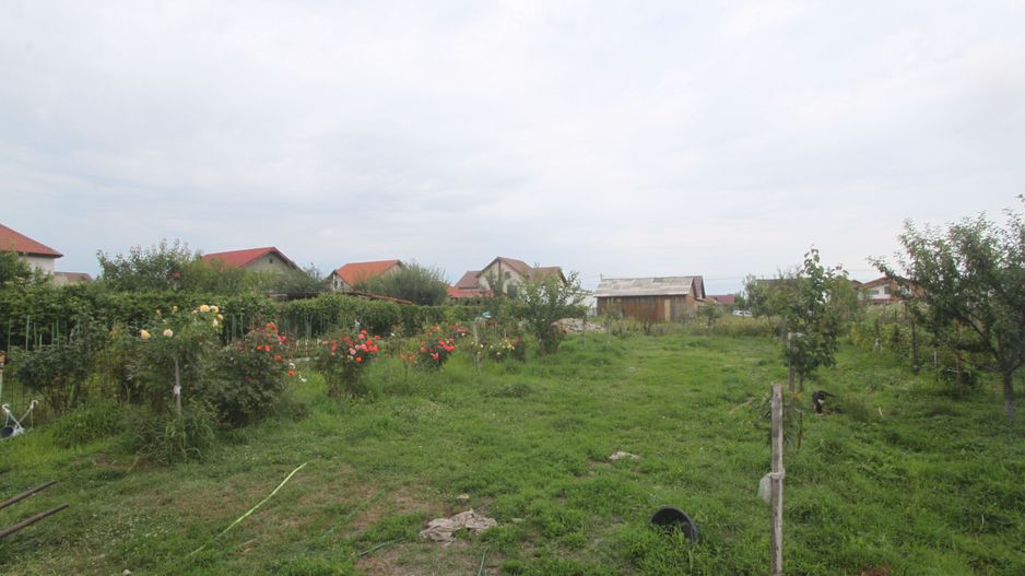 Vila - BEREGSAUL MARE - Poză 5