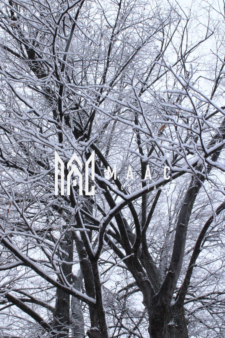 Teren cu izvor de apă minerală  Dangești, Punctul Valea Mare - Poză 29