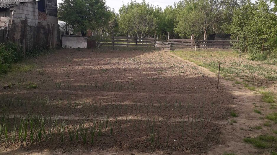 Vând casă cu teren mare 33,3 ari zona Baritiu - Poză 7