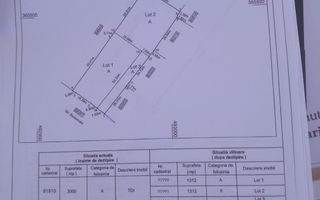 Teren intravilan Bradu 1312 mp 2 deschideri - Poză 3