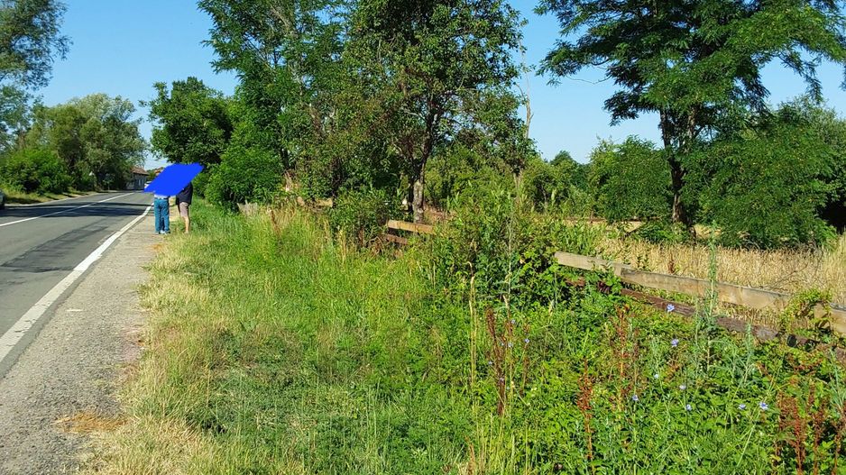 TEREN INTRAVILAN ZĂVOI\ZONA VALEA BISTREI, JUD.C-S - Poză 7