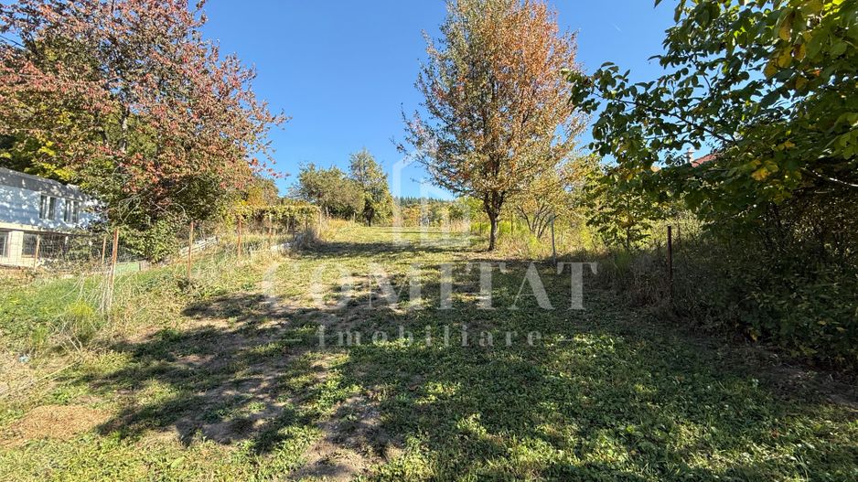 Teren intravilan Făget | 1.490 mp | Front 15 ml | Toate utilitățile - Poză 9