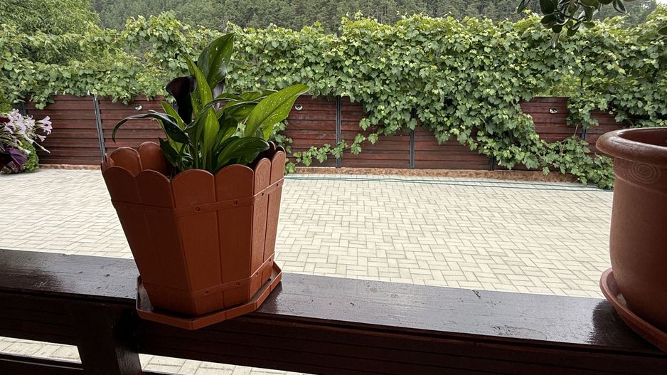 Casă de vis în Rășinari – în inima munților, cu priveliște de poveste - Poză 17