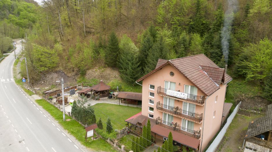 Pensiune în stațiunea Moneasa - Poză 2